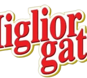 rrrr